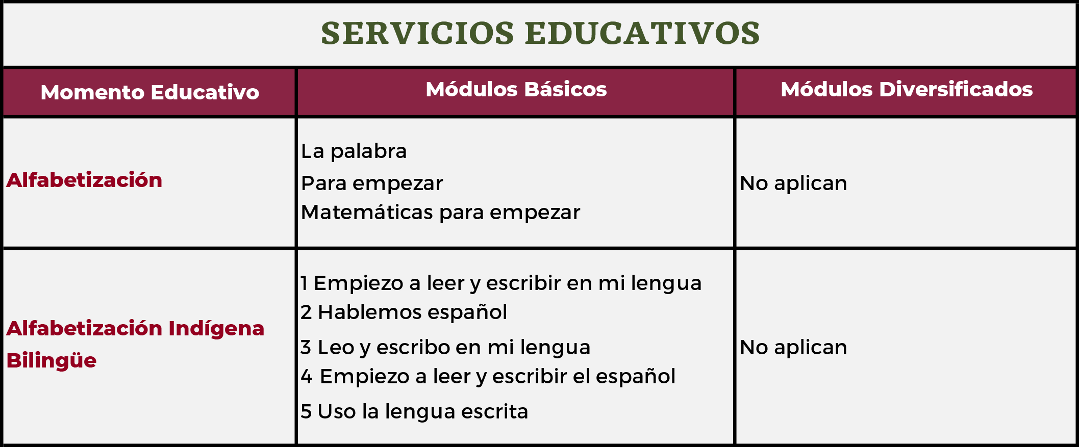 ALFABETIZACION MEV AprendeINEA