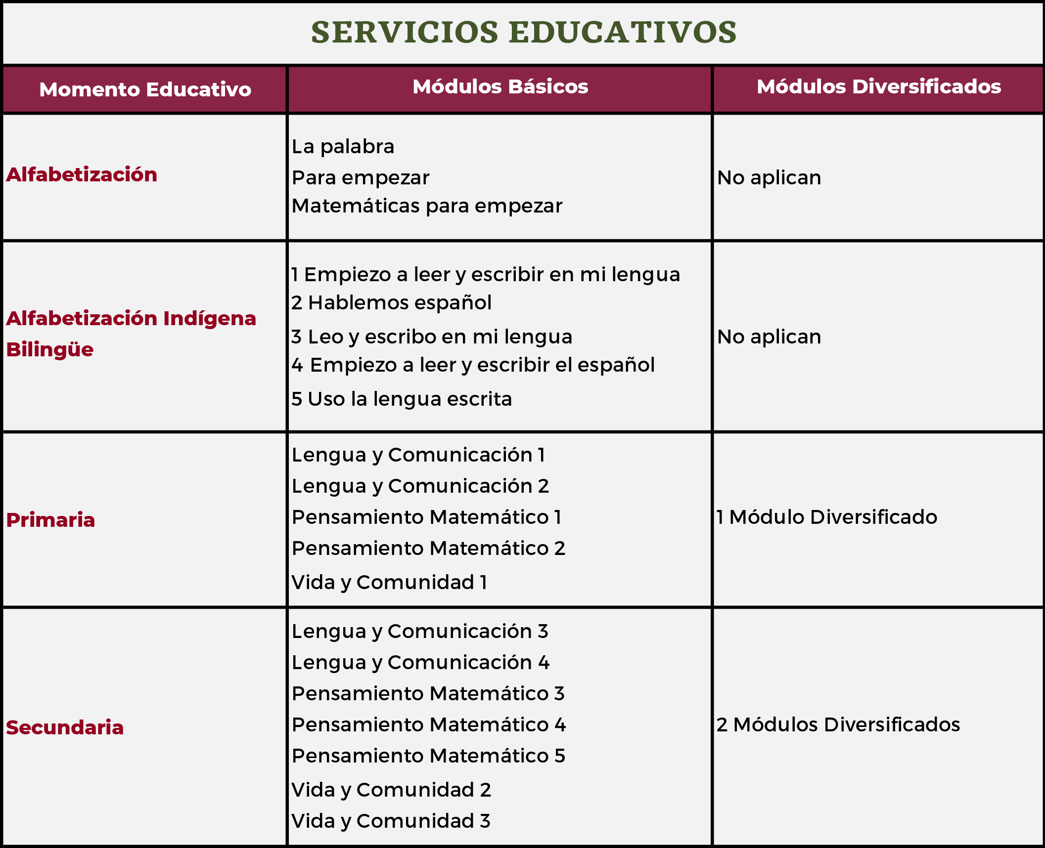 Servicios Educativos MEV AprendeINEA