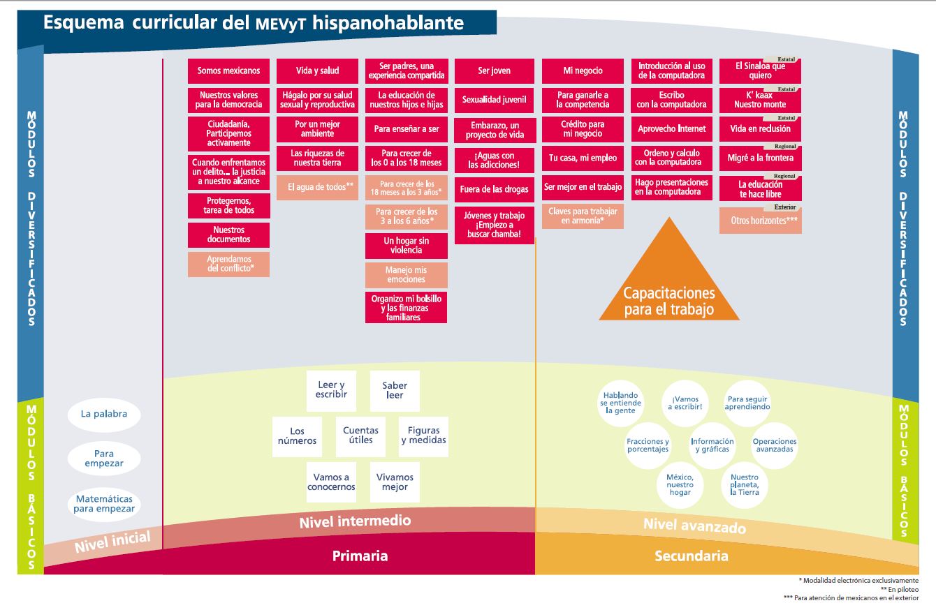 esquema curricular MEVyT